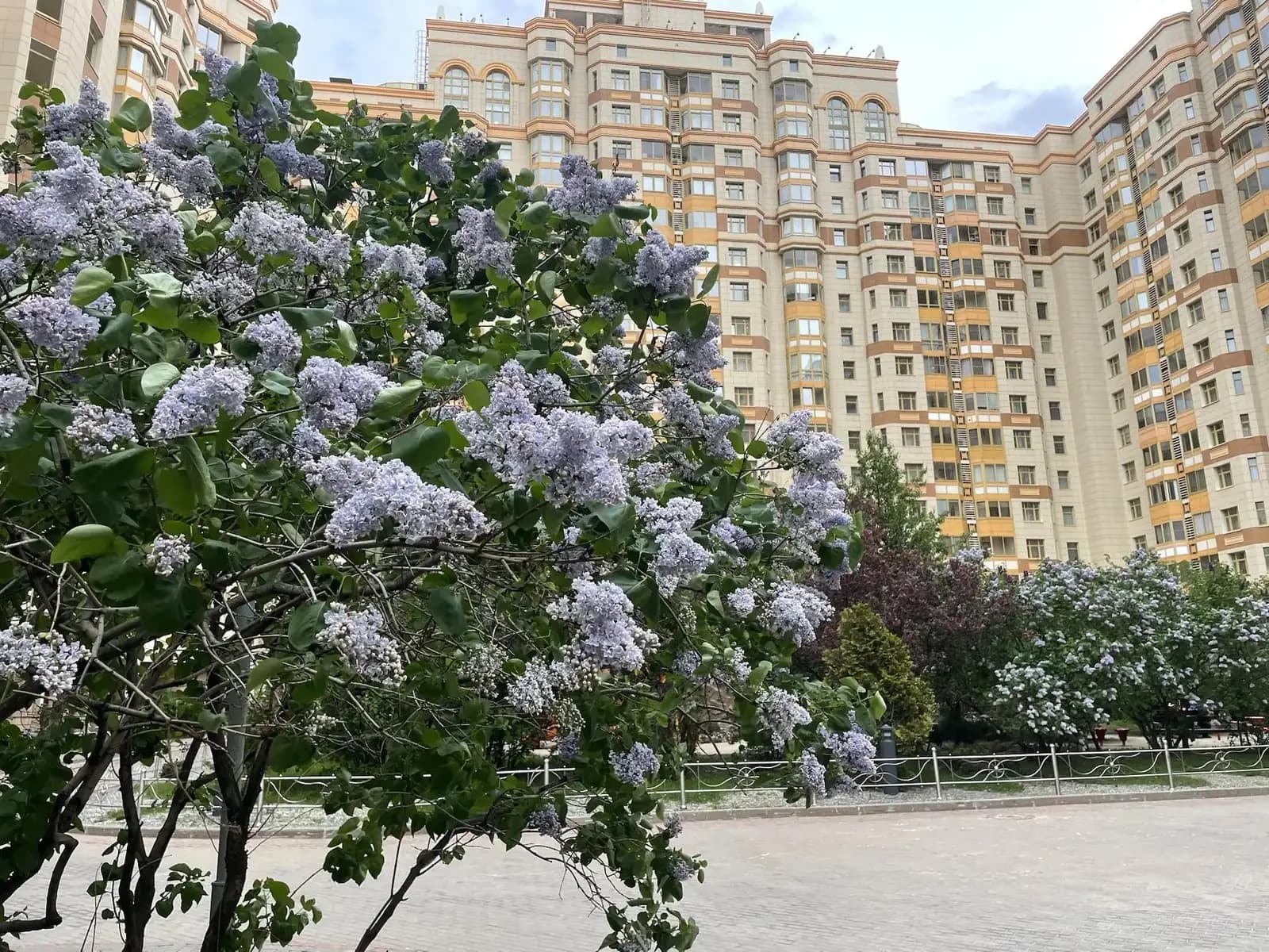 4-комнатная квартира 162,2 м² в ЖК «Доминион» (Dominion) — фото 41