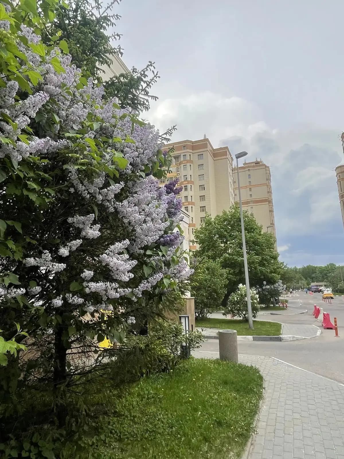 4-комнатная квартира 168,5 м² в ЖК «Доминион» (Dominion) — фото 34