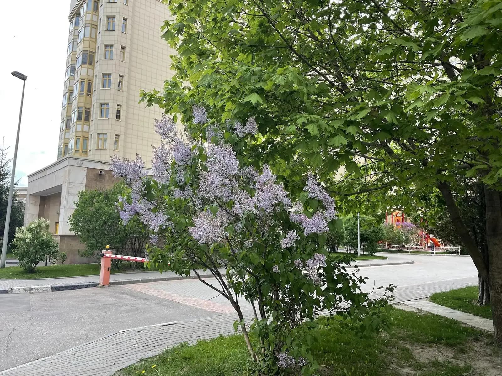 4-комнатная квартира 192 м² в ЖК «Доминион» (Dominion) — фото 37