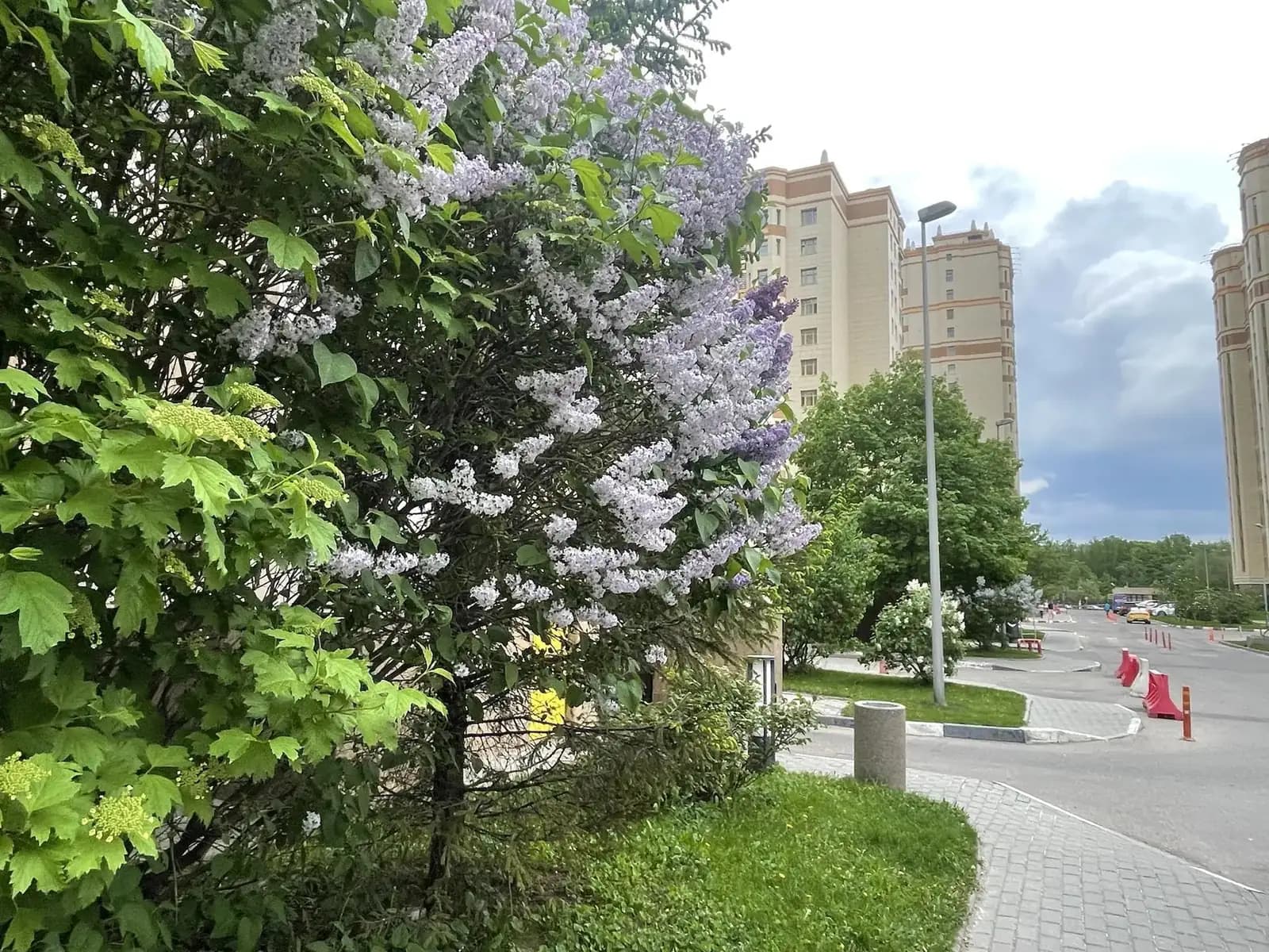 4-комнатная квартира 192 м² в ЖК «Доминион» (Dominion) — фото 39