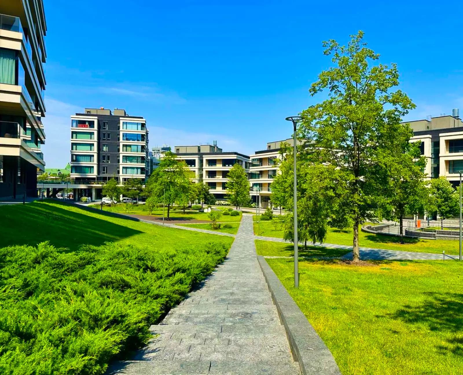 5-комнатная квартира 405,9 м² в ЖК «Снегири Эко» — фото 13